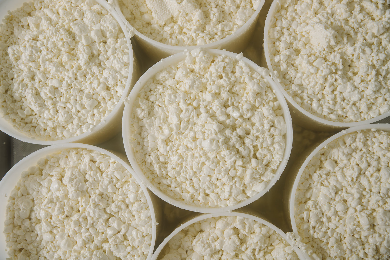 Cheese curds in their molds. 
